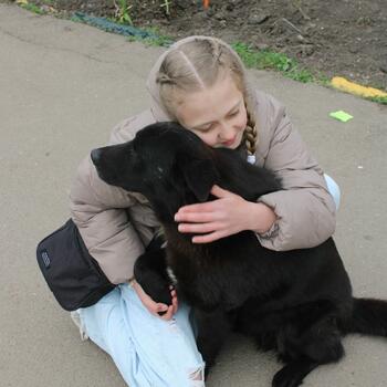 Фото Ярмарка-2025